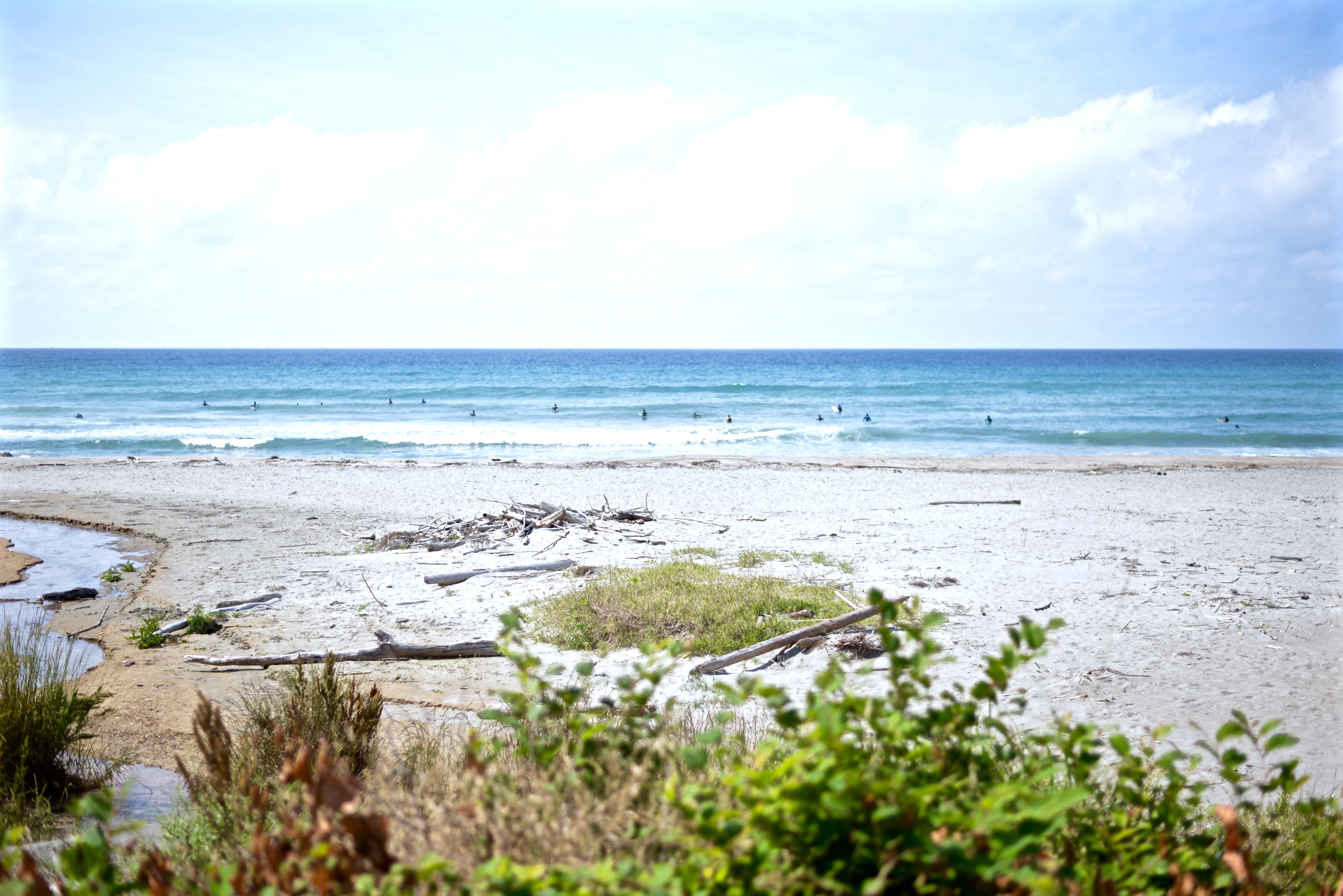 0F696D39-1EEA-4D2D-A497-BDBF0E091F5A