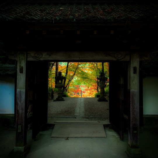 62B331B7-2F6D-4C21-8C70-14E3202E5E7B