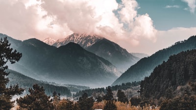 photo-1606821061030-9eedf225857b