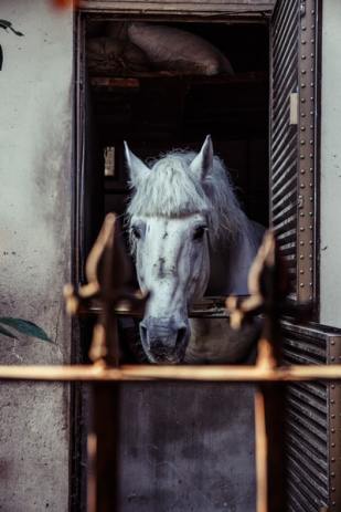 photo-1522766211683-3c63ff9d856e