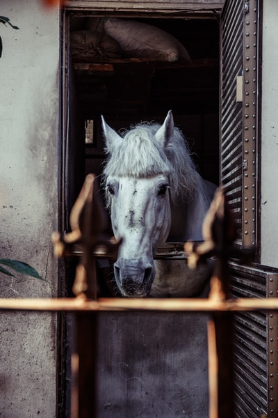 photo-1522766211683-3c63ff9d856e