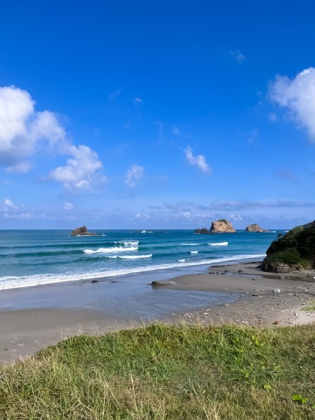 0FA6F126-1E3F-4F6E-8A4E-327677A45072