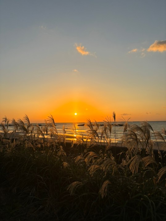 FA6F2528-04A8-4EE5-8F11-945756FB0BA6_1_105_c